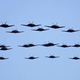 Illustration for article titled This swarming horde of black stealth fighter jets is not a movie scene
